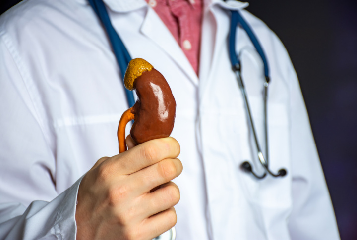 The,Doctor,Points,To,The,Camera,And,Holds,An,Anatomical